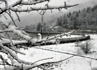 A Moment of Christian Love