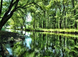 Paul’s Warning to the Church in Ephesus