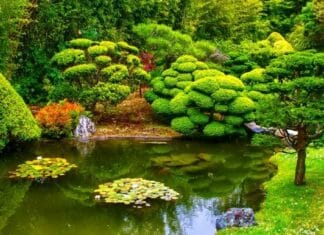 Christians in Constantinople After the Conquest