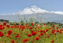 Changes to the Parakklesion