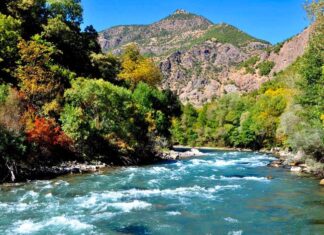 Cambyses Tests the Fallen King of Egypt