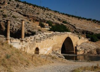 Cambyses and the Test of Madness