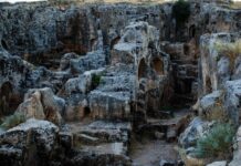 Cambyses and His Acts of Disrespect