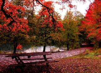 Periander of Corinth and His Time